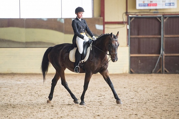 Обучение верховой езде в Смоленске. Сервис Ultra Подарки. Купить обучение верховой езде в Смоленске. Вы сможете попробовать курс по верховой езде и конные прогулки. Сервис UltraPodarki.ru 8 800 505 95 30. Обучение верховой езде, верховая езда в Смоленске, верховая езда Смоленск, конный спорт, уроки верховой езды, школа верховой езды, конные прогулки, верховая езда, школа верховой езды в Смоленске, конные прогулки в Смоленске, обучение верховой езде в Смоленске, конный спорт в Смоленске, уроки верховой езды в Смоленске