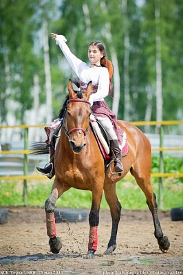 Обучение верховой езде в Смоленске. Сервис Ultra Подарки. Купить обучение верховой езде в Смоленске. Вы сможете попробовать курс по верховой езде и конные прогулки. Сервис UltraPodarki.ru 8 800 505 95 30. Обучение верховой езде, верховая езда в Смоленске, верховая езда Смоленск, конный спорт, уроки верховой езды, школа верховой езды, конные прогулки, верховая езда, школа верховой езды в Смоленске, конные прогулки в Смоленске, обучение верховой езде в Смоленске, конный спорт в Смоленске, уроки верховой езды в Смоленске
