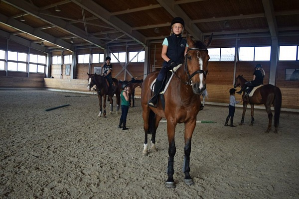 Обучение верховой езде в Смоленске. Сервис Ultra Подарки. Купить обучение верховой езде в Смоленске. Вы сможете попробовать курс по верховой езде и конные прогулки. Сервис UltraPodarki.ru 8 800 505 95 30. Обучение верховой езде, верховая езда в Смоленске, верховая езда Смоленск, конный спорт, уроки верховой езды, школа верховой езды, конные прогулки, верховая езда, школа верховой езды в Смоленске, конные прогулки в Смоленске, обучение верховой езде в Смоленске, конный спорт в Смоленске, уроки верховой езды в Смоленске