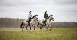 Конная прогулка 