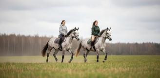 Конная прогулка 