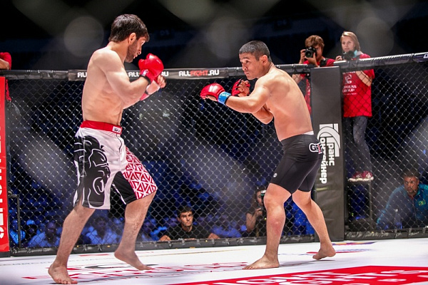 Смешанные единоборства в Смоленске. Сервис Ultra Подарки. Купить подарочный сертификат на смешанные единоборства в Смоленске. Опытные инструкторы обучат вас ММА. Сервис UltraPodarki.ru 8 800 505 95 30. Смешанные единоборства, бои без правил, ММА, смешанные единоборства в Смоленске, UFC, смешанные боевые искусства, бои без правил Смоленск, UFC Смоленск, смешанные боевые искусства Смоленск, ММА Смоленск, занятия ММА Смоленск
